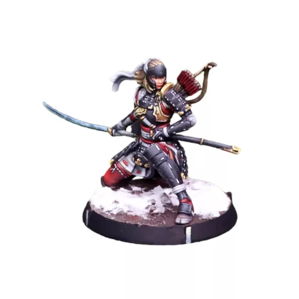 Eldfall Chronicles - Reinforcements Pack: Imperial Banner minicsomag - angol kiadás