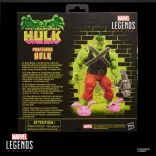 Marvel Legends Series Professor Hulk Action Figure-G24055L0