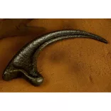 Jurassic Park Raptor Claw 1:1 méretarányos replika