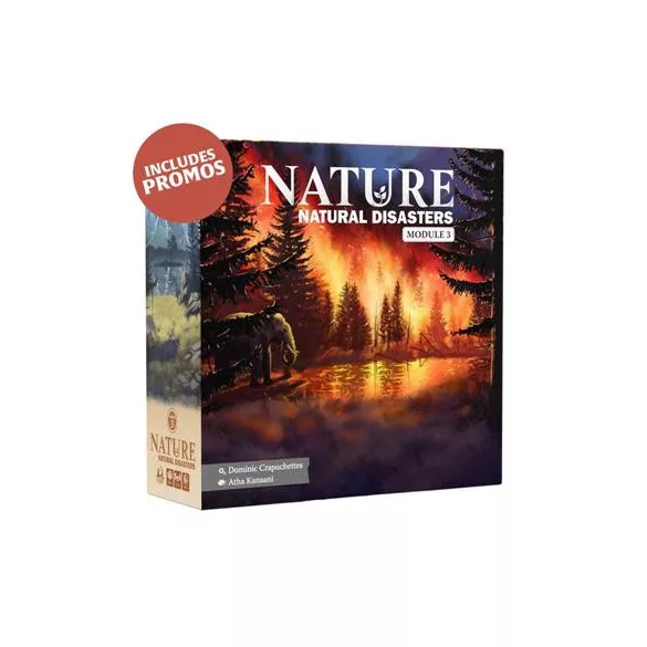 Nature Module 3: Natural Disasters - EN-NSG-NRE-004-096