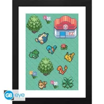 Pokémon - Framed print (30x40) - Pixel Art-GBYDCOA043