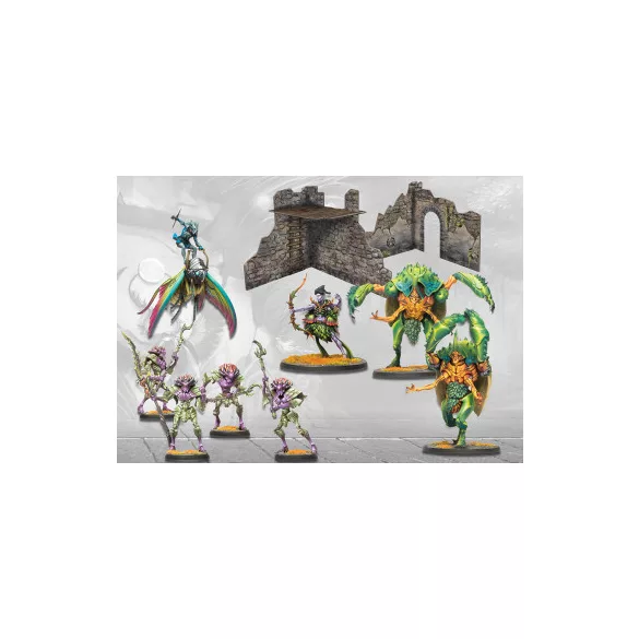 Conquest – Weaver Court: First Blood Reinforcement Set miniatűra szett