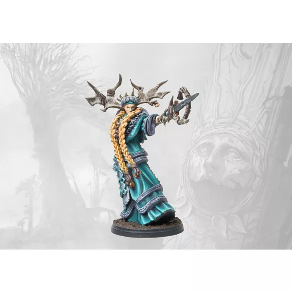Nords: Faithbearer Reginleif karakter miniatűra
