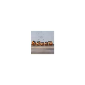My Neighbor Totoro - Blind Box Figure (CDU of 6) - Catbus-BENELIC-54744