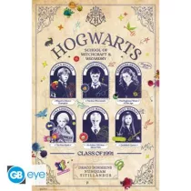 Harry Potter - Poster Maxi (91,5x61cm) - Student Yearbook-GBYDCOA032