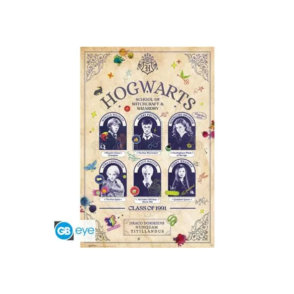 Harry Potter - Poster Maxi (91,5x61cm) - Student Yearbook-GBYDCOA032