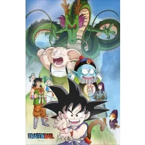 Dragon Ball - 3D PVC Poster (38x58 cm) - Shenron and Heroes-SDTDRB25636