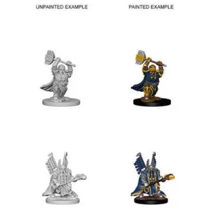 D&D Nolzur’s Marvelous Miniatures: Dwarf Male Paladin-72630