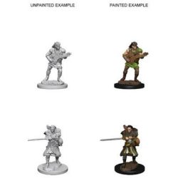D&D Nolzur's Marvelous Miniatures - Human Male Bard-WZK72632