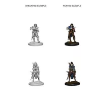 Pathfinder Deep Cuts Unpainted Miniatures - Elf Female Bard-WZK72611