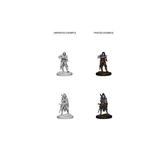 Pathfinder Deep Cuts Unpainted Miniatures - Elf Female Bard-WZK72611