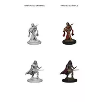 Pathfinder Battles Deep Cuts: Human Female Bard - EN-WZK72610