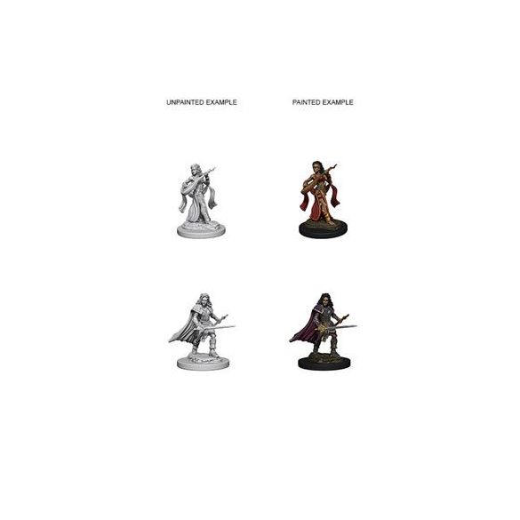 Pathfinder Battles Deep Cuts: Human Female Bard - EN-WZK72610