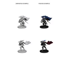 Pathfinder Deep Cuts Unpainted Miniatures - Elf Female Paladin-WZK72609