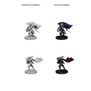 Pathfinder Deep Cuts Unpainted Miniatures - Elf Female Paladin-WZK72609