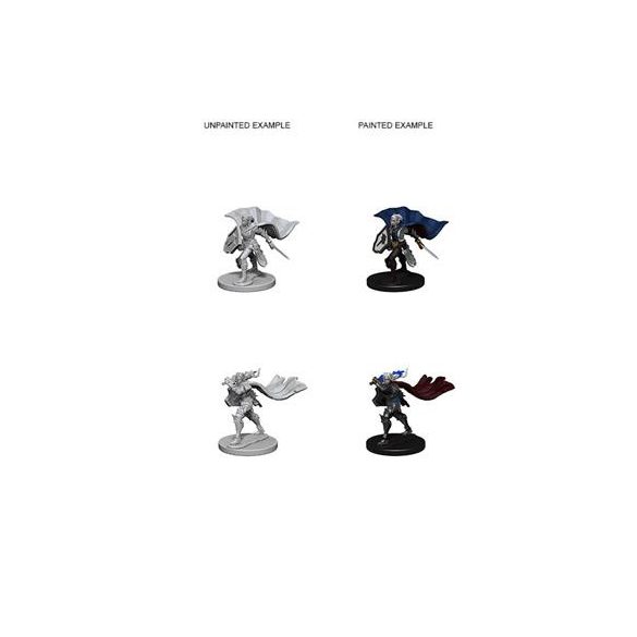 Pathfinder Deep Cuts Unpainted Miniatures - Elf Female Paladin-WZK72609