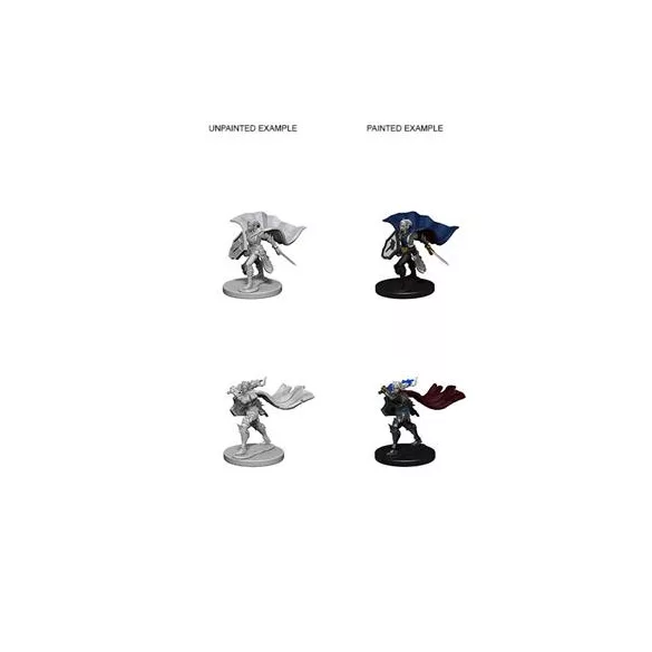Pathfinder Deep Cuts Unpainted Miniatures - Elf Female Paladin-WZK72609