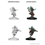 D&D Nolzur’s Marvelous Miniatures: Air Genasi Female Rogue-73204