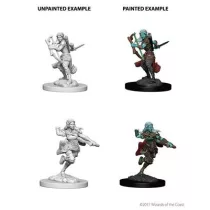 D&D Nolzur’s Marvelous Miniatures: Air Genasi Female Rogue-73204
