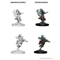 D&D Nolzur’s Marvelous Miniatures: Air Genasi Female Rogue-73204