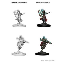 D&D Nolzur's Marvelous Miniatures - Air Genasi Female Rogue-WZK73204