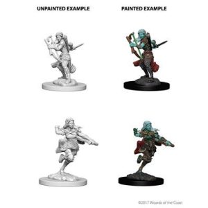 D&D Nolzur's Marvelous Miniatures - Air Genasi Female Rogue-WZK73204