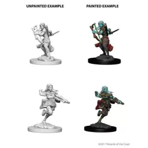 D&D Nolzur’s Marvelous Miniatures: Air Genasi Female Rogue-73204