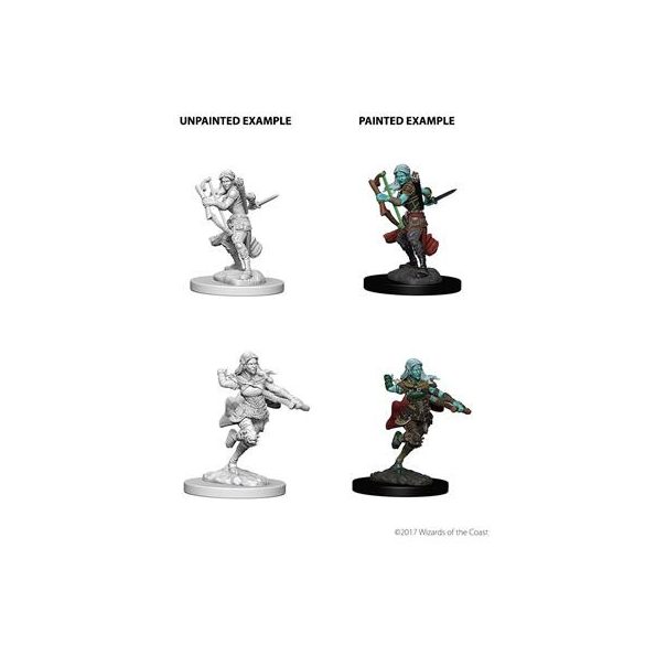 D&D Nolzur's Marvelous Miniatures - Air Genasi Female Rogue-WZK73204