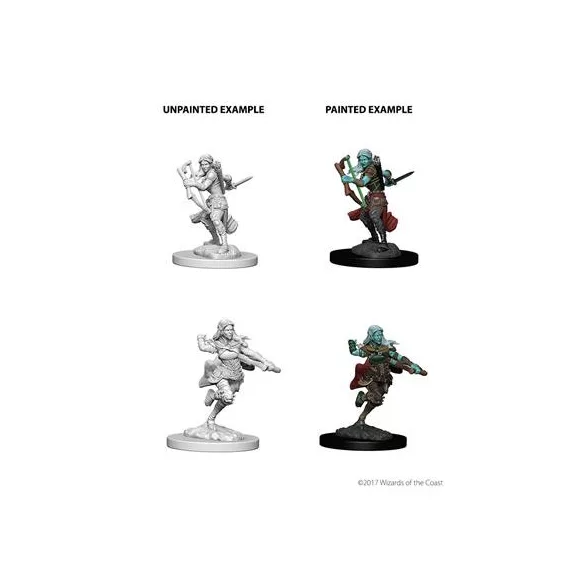 D&D Nolzur’s Marvelous Miniatures: Air Genasi Female Rogue-73204