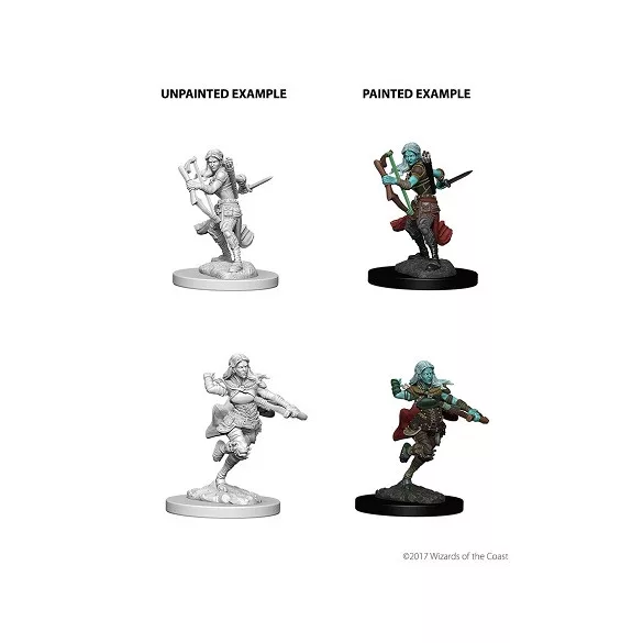D&D Nolzur’s Marvelous Miniatures: Air Genasi Female Rogue-73204