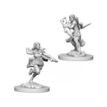 D&D Nolzur’s Marvelous Miniatures: Air Genasi Female Rogue-73204