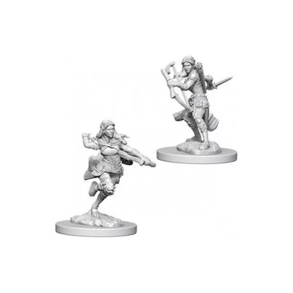 D&D Nolzur’s Marvelous Miniatures: Air Genasi Female Rogue-73204