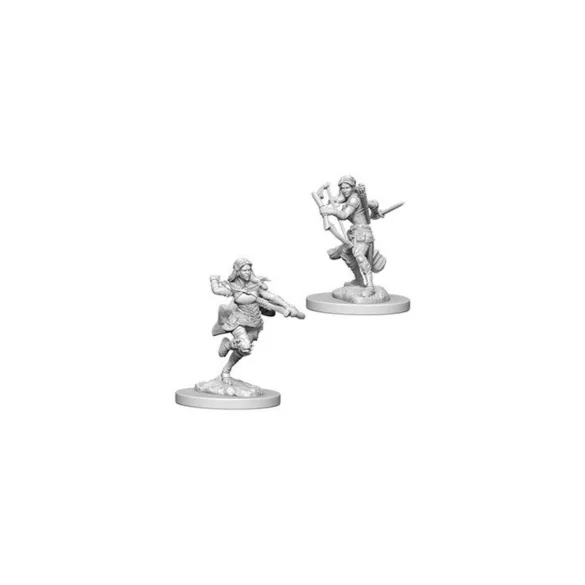D&D Nolzur’s Marvelous Miniatures: Air Genasi Female Rogue-73204
