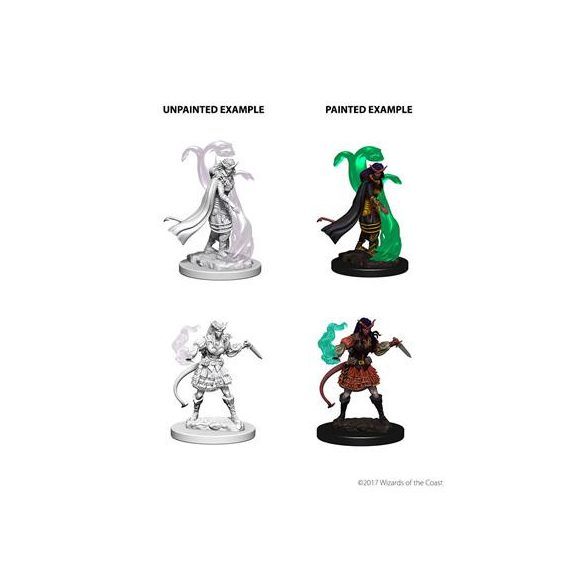 D&D Nolzur's Marvelous Miniatures - Tiefling Female Sorcerer-WZK73202