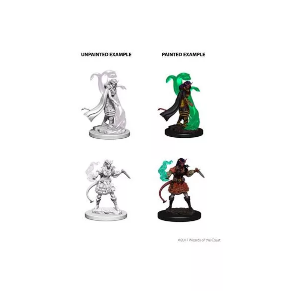 D&D Nolzur’s Marvelous Miniatures: Tiefling Female Sorcerer-73202