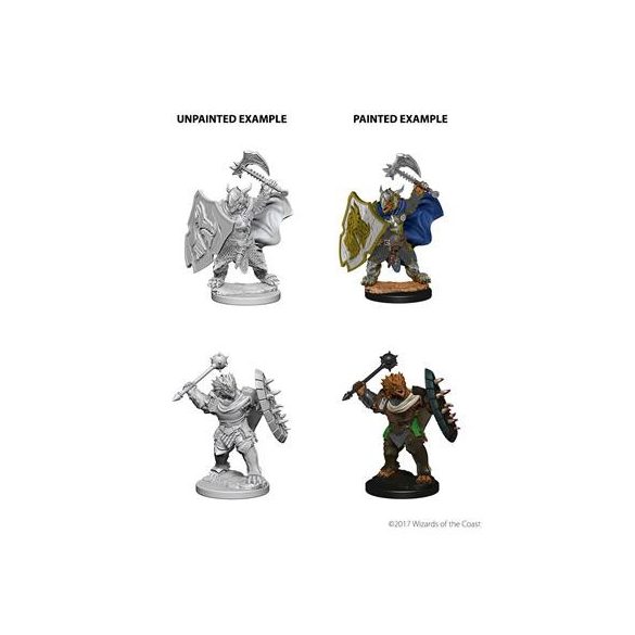 D&D Nolzur's Marvelous Miniatures - Dragonborn Male Paladin-WZK73200