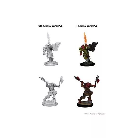 D&D Nolzur’s Marvelous Miniatures: Dragonborn Female Fighter-73199