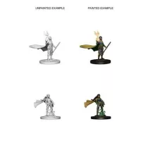 D&D Nolzur’s Marvelous Miniatures: Elf Female Druid-72642