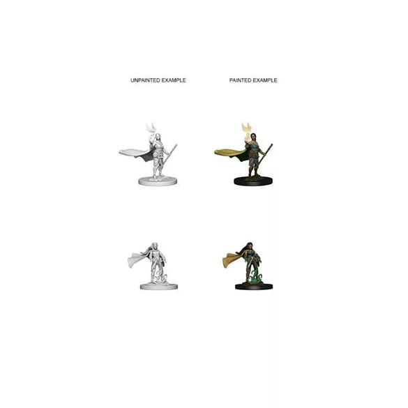 D&D Nolzur’s Marvelous Miniatures: Elf Female Druid-72642