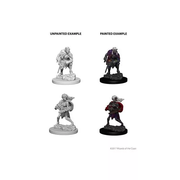 D&D Nolzur’s Marvelous Miniatures: Drow-73189