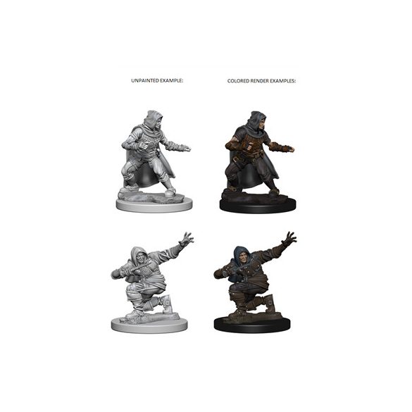 Pathfinder Battles Deep Cuts: Human Male Rouge - EN-WZK72602