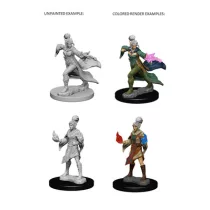 Pathfinder Battles Deep Cuts: Elf Female Sorcerer-72606