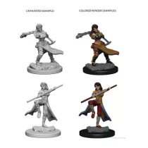 D&D Nolzur’s Marvelous Miniatures: Human Female Monk - EN-WZK72634