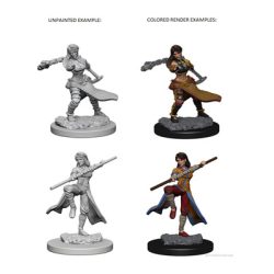D&D Nolzur’s Marvelous Miniatures: Human Female Monk - EN-WZK72634