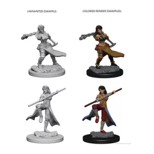 D&D Nolzur’s Marvelous Miniatures: Human Female Monk - EN-WZK72634