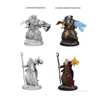 D&D Nolzur’s Marvelous Miniatures: Human Male Wizard-72618