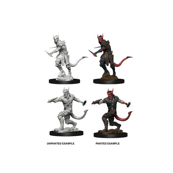 D&D Nolzur's Marvelous Miniatures - Tiefling Male Rogue-WZK73338