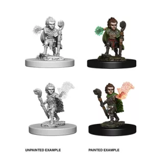 Pathfinder Deep Cuts Unpainted Miniatures - Gnome Male Druid-WZK73346