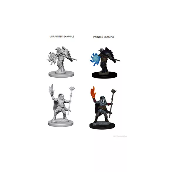 D&D Nolzur’s Marvelous Miniatures: Elf Male Wizard-72622