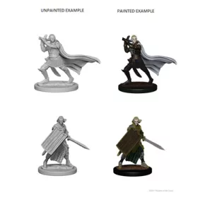 Pathfinder Battles Deep Cuts: Elf Male Paladin-72608